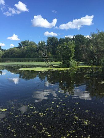 Dodge Nature Center