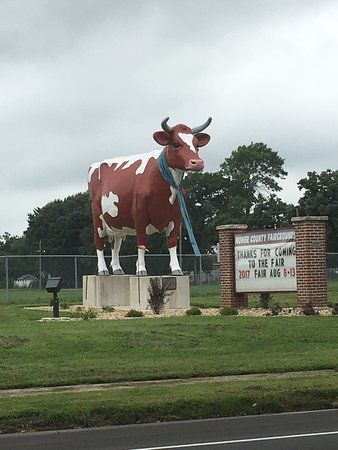 Buffy The Cow
