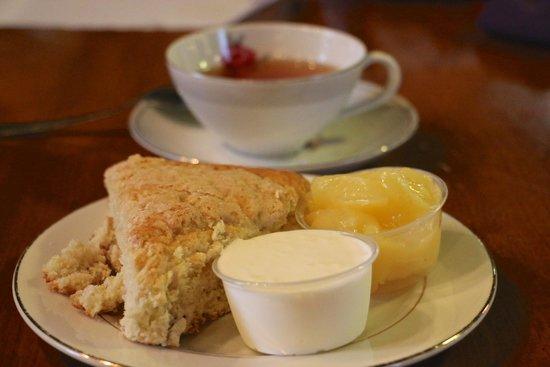 Wisteria Twig