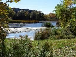 Lake Smetana