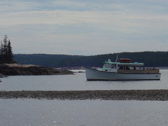 Island Cruises