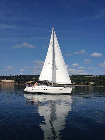 Moon Shadow Sailing