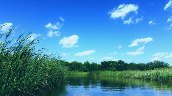 Rice Creek Chain of Lakes Park Reserve