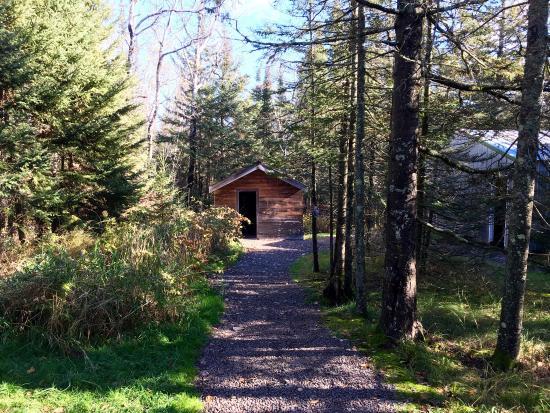 Tom's Historic Logging Camp