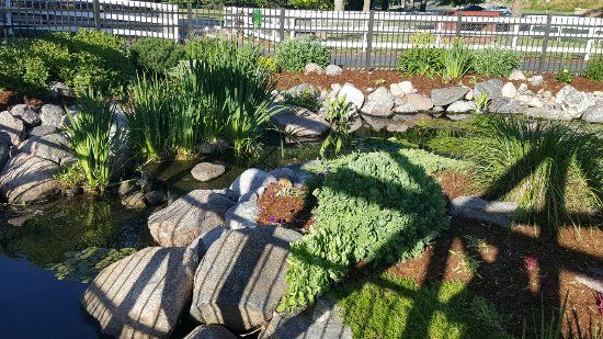 Sibley Park