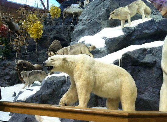 Cabela's