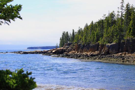 Ship Harbor Nature Trail
