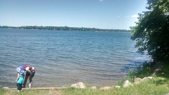 Birch Lakes State Forest